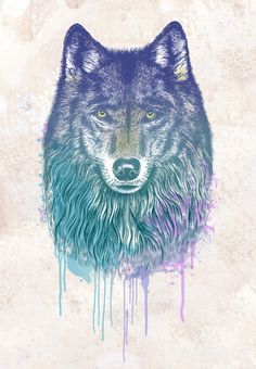 63189606-lobo-wallpapers.jpg.95a7b0e3a5c7a5a83c5f1eac0565a3af.jpg